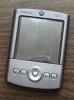 Palm Tungsten T